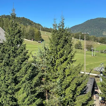 Appartement Vrsic On The Slope With Free Parking *