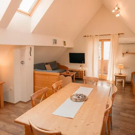 Apartments Vrsic On The Ski Slope And Free Parking Appartement